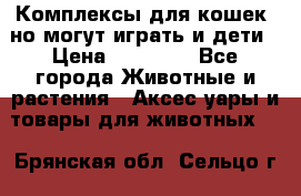 Комплексы для кошек, но могут играть и дети › Цена ­ 11 900 - Все города Животные и растения » Аксесcуары и товары для животных   . Брянская обл.,Сельцо г.